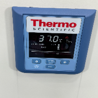 Thermo Heratherm Incubator image 2